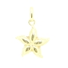 COLGANTE ESTRELLA EN ORO DE 18KT