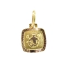 MEDALLA DEL HOROSCOPO ACUARIO EN ORO MATE Y BRILLO 18K