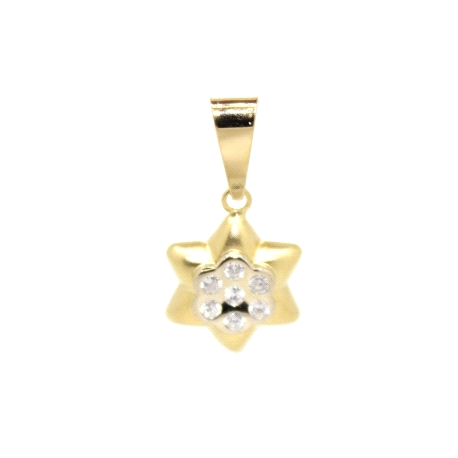 COLGANTE ESTRELLA EN ORO 18K CON CIRCONITAS